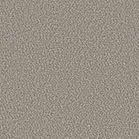 Textured Saxony French Buff Brown Carpet