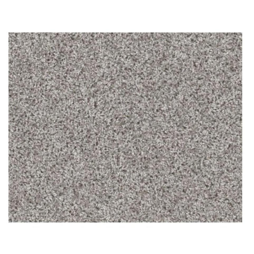 Casual Texture Ski Trail Gray Carpet