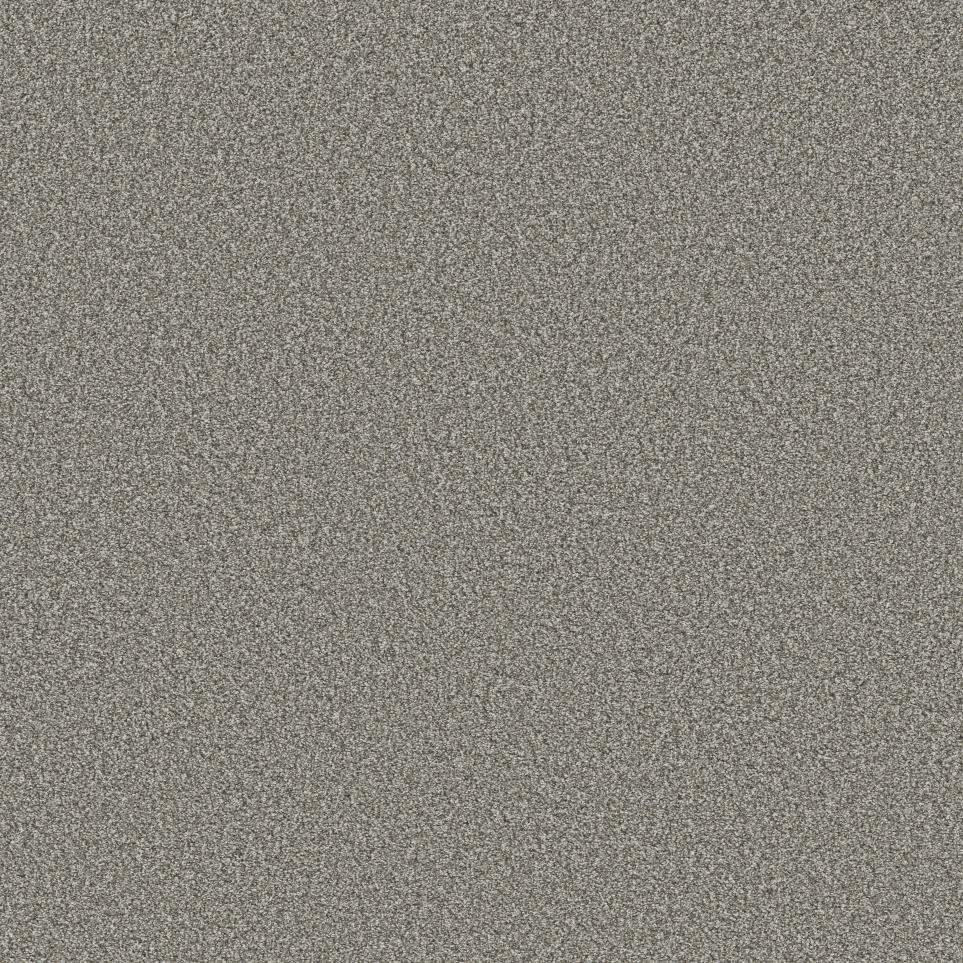 Textured Saxony Shale Beige/Tan Carpet