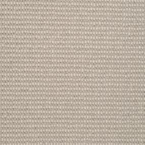 Pattern Silver Screen Beige/Tan Carpet