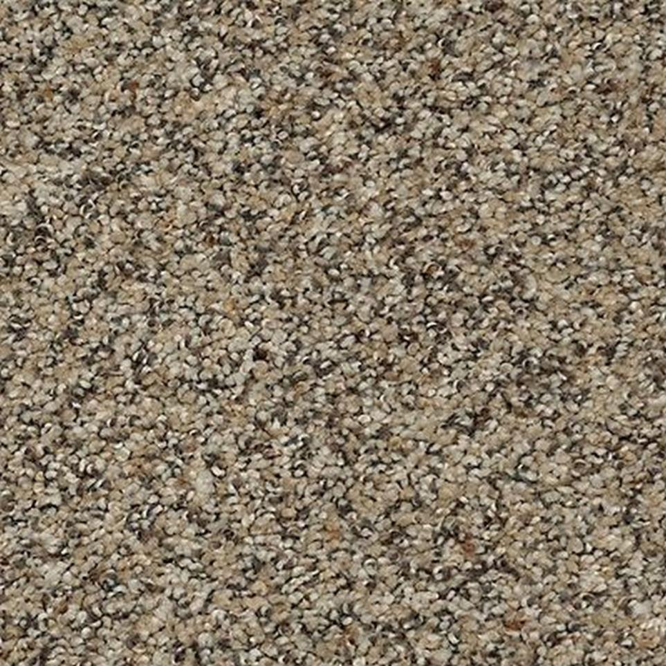 Textured Saxony Sonora Beige/Tan Carpet