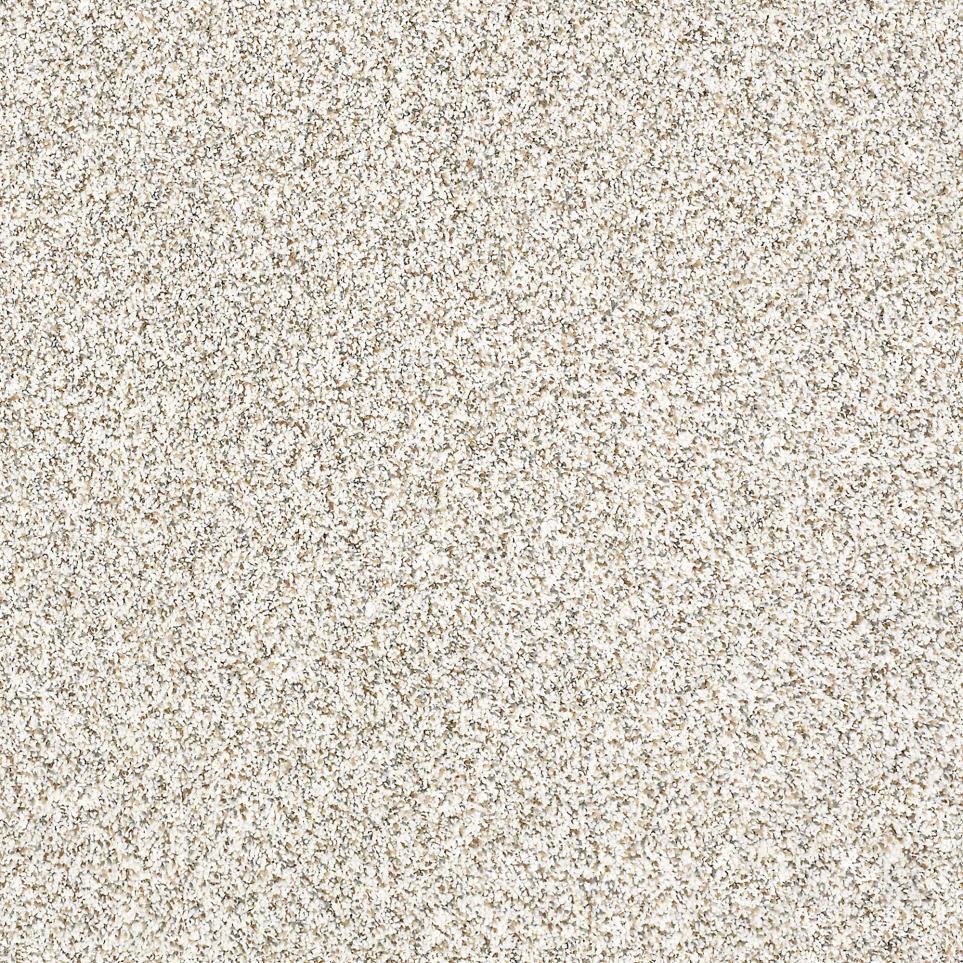 Texture Porcelain Beige/Tan Carpet
