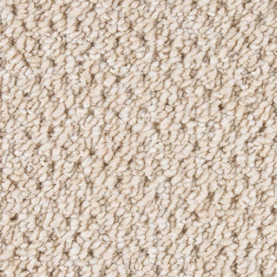 Loop Butter Pecan Beige/Tan Carpet