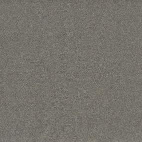 Textured Saxony Whimsical Gray Carpet