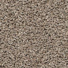Texture Mink Brown Carpet