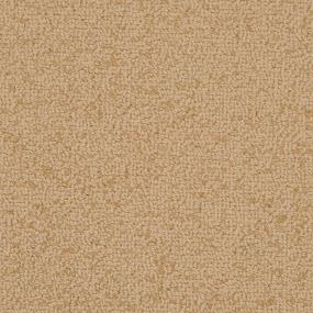 Loop Basketweave Beige/Tan Carpet