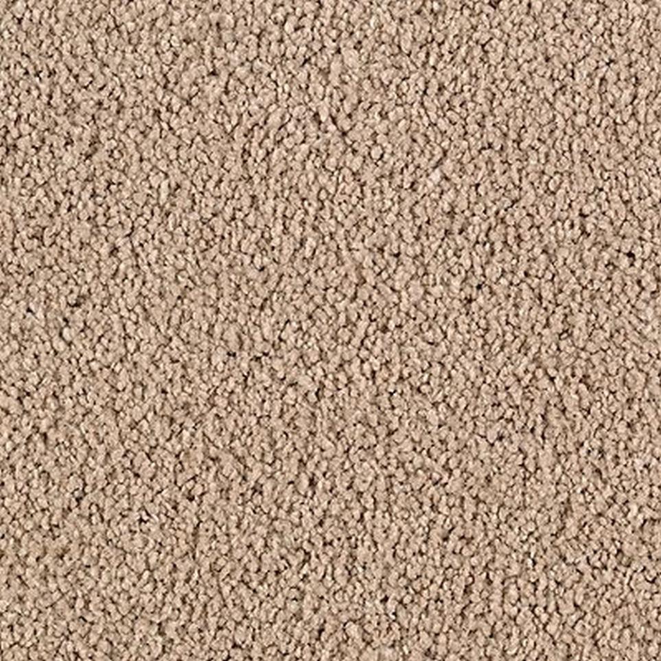 Textured Saxony True Khaki Beige/Tan Carpet