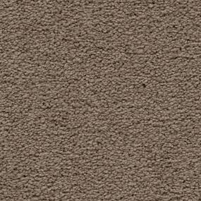 Textured Saxony Livingston Beige/Tan Carpet
