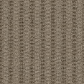Loop Camelback Brown Carpet
