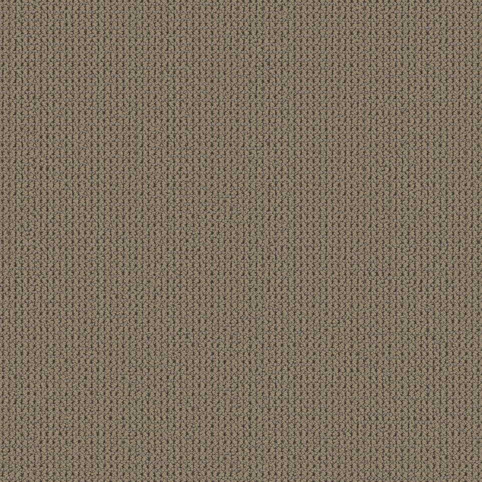Loop Camelback Brown Carpet
