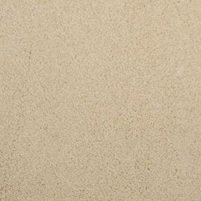 Casual Texture Montuno Beige/Tan Carpet