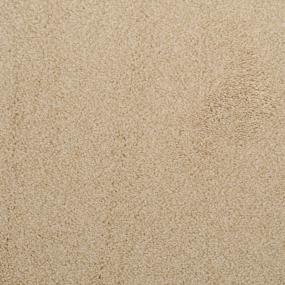 Casual Texture Chord Beige/Tan Carpet