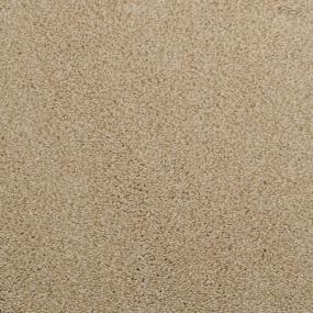 Casual Texture Interlude Beige/Tan Carpet
