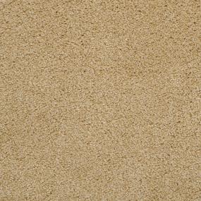 Casual Texture Break Beige/Tan Carpet
