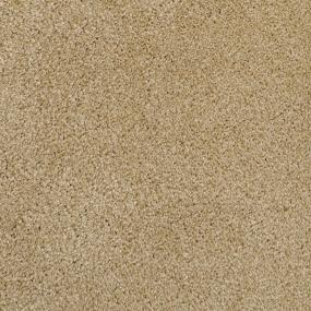 Casual Texture Diatonic Beige/Tan Carpet