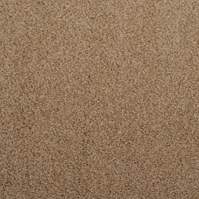 Casual Texture Coda Beige/Tan Carpet
