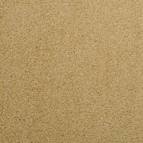 Casual Texture Melody Beige/Tan Carpet