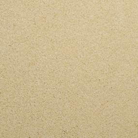 Casual Texture Stroll Beige/Tan Carpet