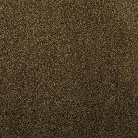 Casual Texture Boogie Brown Carpet
