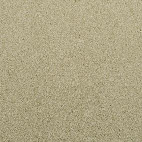 Casual Texture Bridge Green Carpet