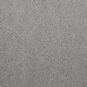 Casual Texture Tenor Gray Carpet
