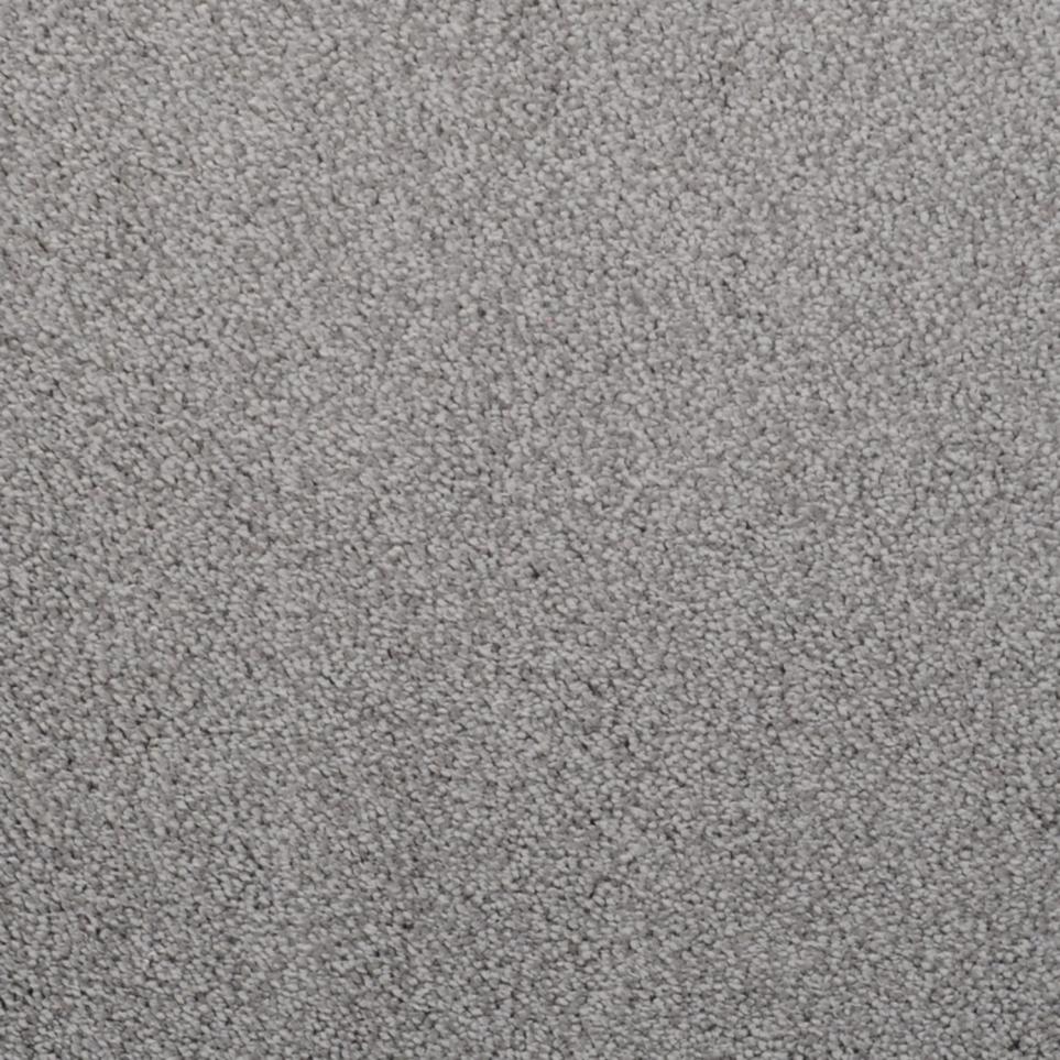 Frieze Tenor Gray Carpet