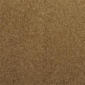 Casual Texture Legit Beige/Tan Carpet