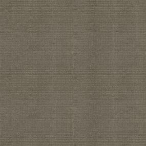 Pattern Brindle Brown Carpet