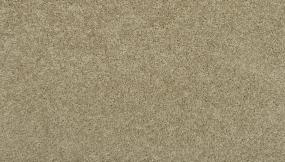 Texture Cookie Butter Beige/Tan Carpet