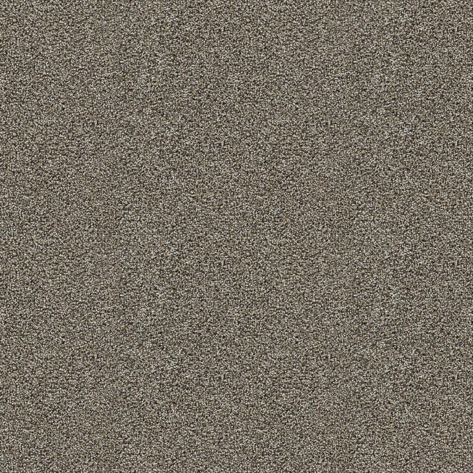 Textured Saxony Diplomat Brown Carpet