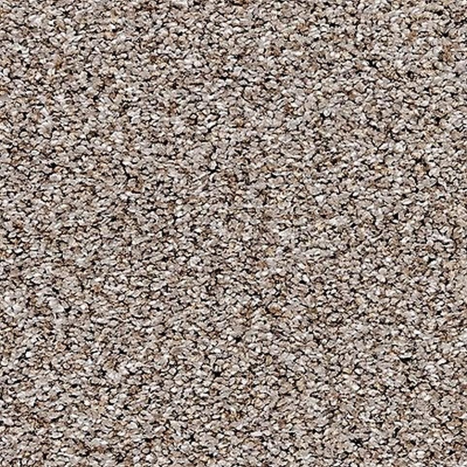 Pattern Cobblestone Path Gray Carpet