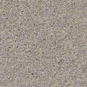 Casual Texture Mist Beige/Tan Carpet