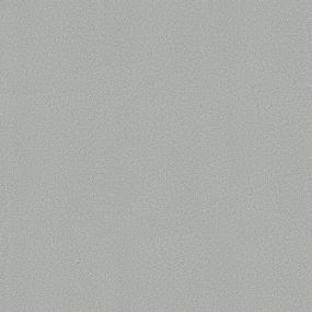 Plush Saxony Jack Frost Gray Carpet