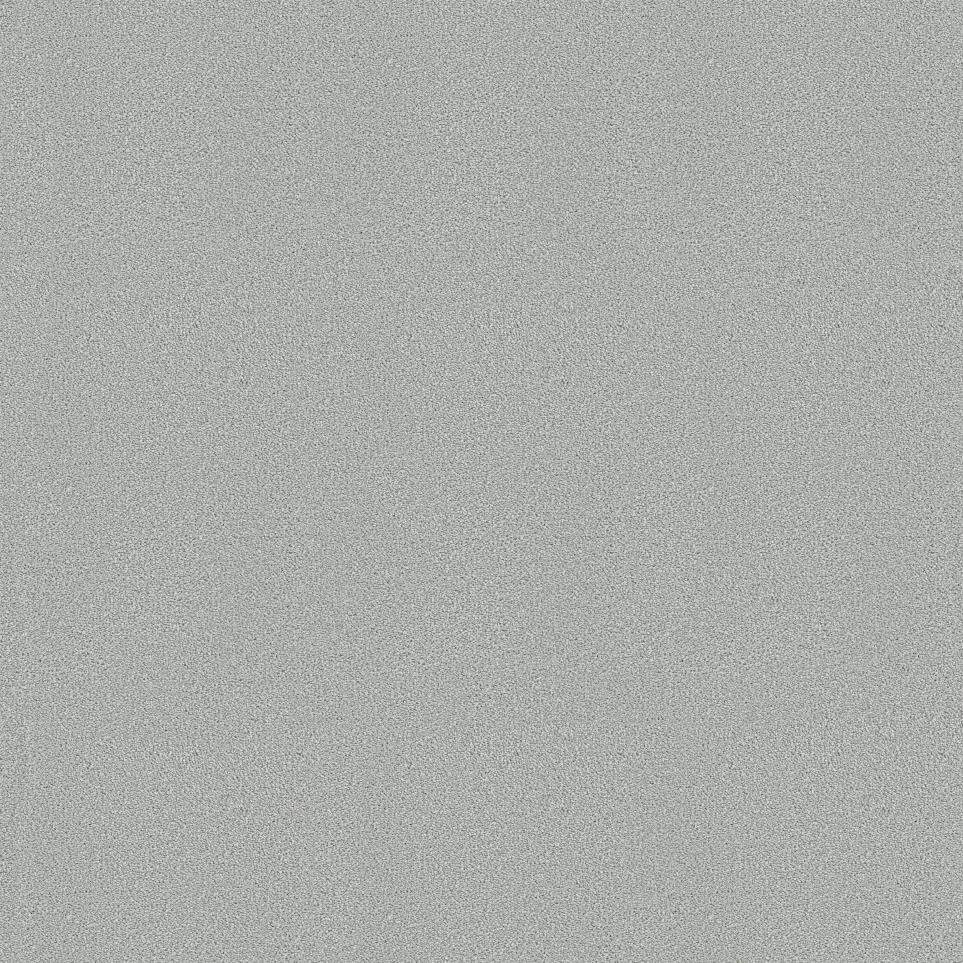 Plush Saxony Jack Frost Gray Carpet