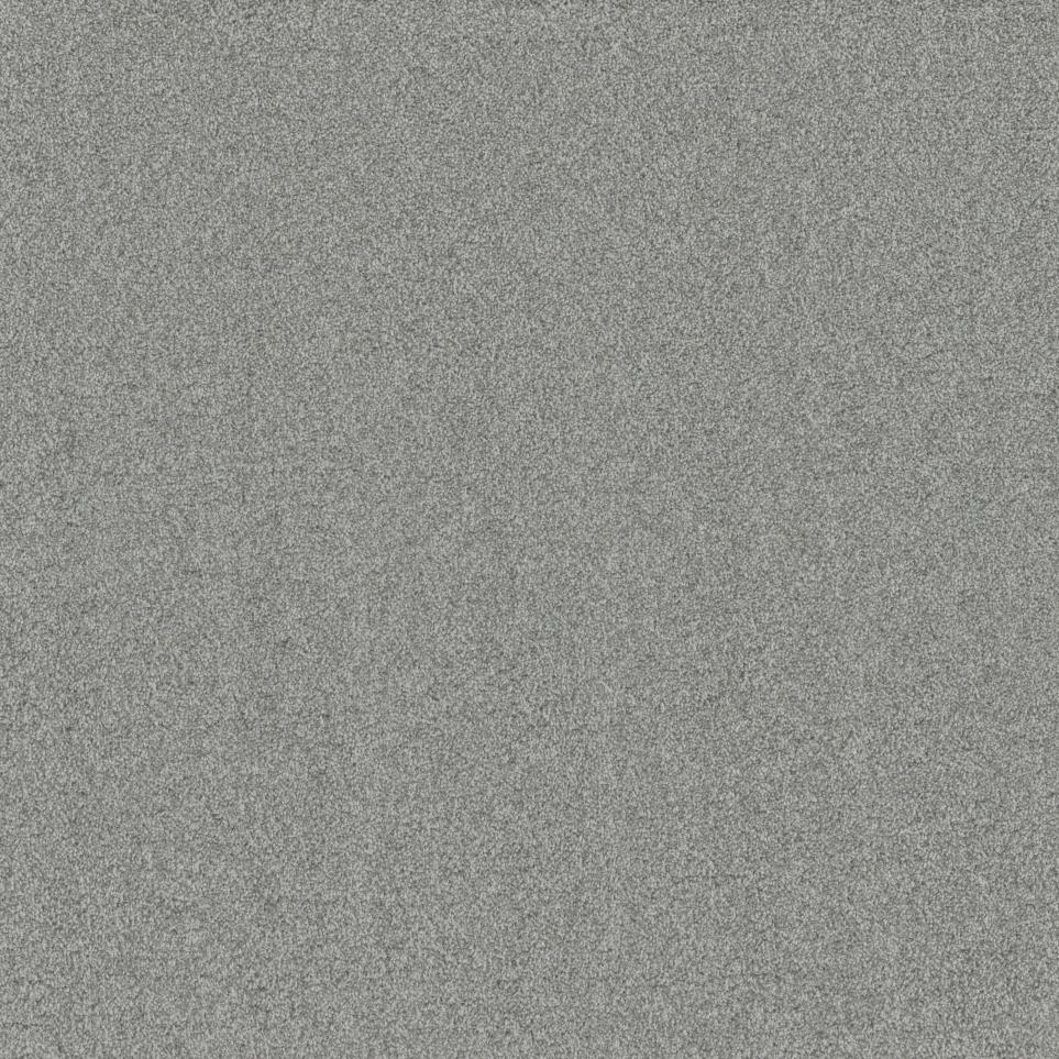 Texture Fantasia Gray Carpet