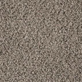 Textured Saxony Urban Gray Carpet