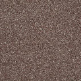 Textured Saxony Fudge Brown Carpet