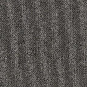 Pattern Genuine Gray Carpet