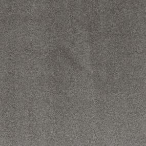 Textured Saxony Radisson Plus Gray Carpet