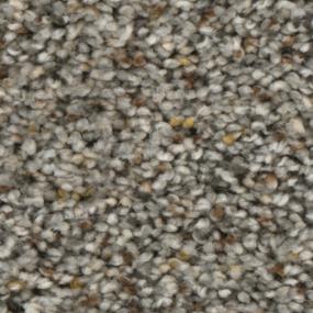 Textured Saxony Radisson Plus Gray Carpet