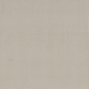 Loop Savanna White Carpet