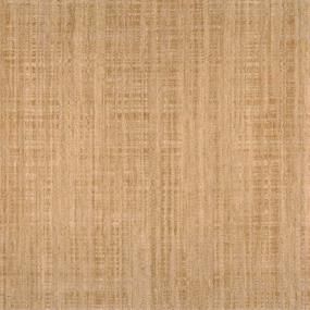 Woven Natural Beige/Tan Carpet
