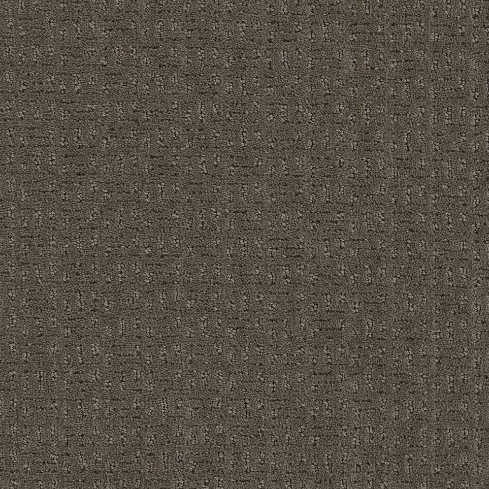 Pattern Trackless Beauty Brown Carpet