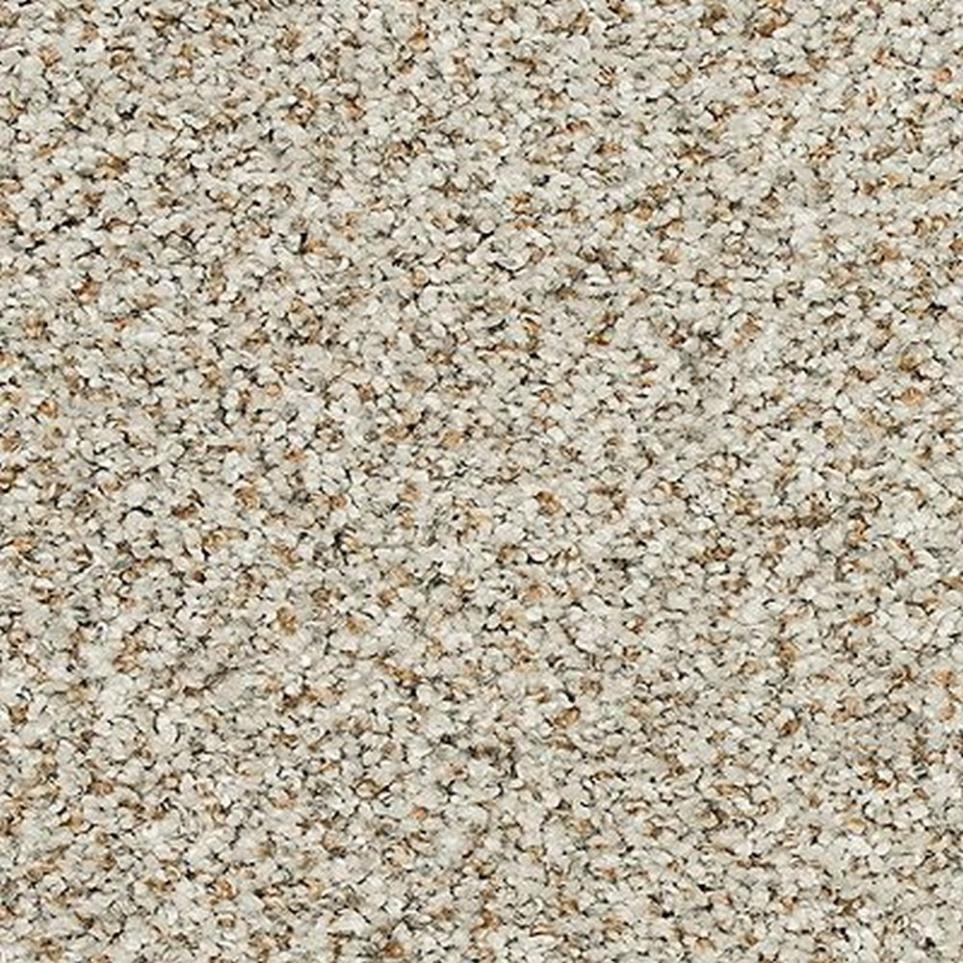 Textured Saxony Pristine Brown Carpet