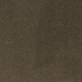 Textured Saxony Foothills Brown Carpet