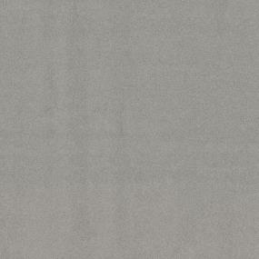 Casual Texture Driftwood Gray Carpet