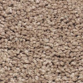 Textured Saxony Hickory Tan Beige/Tan Carpet