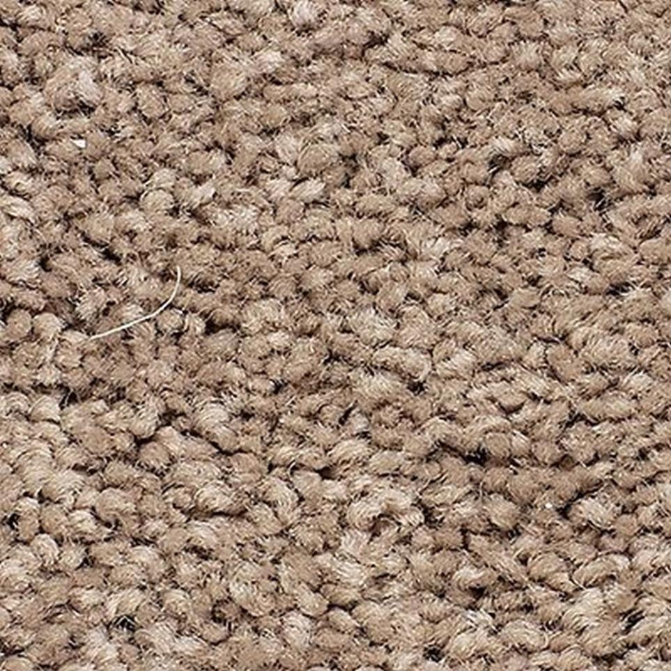Textured Saxony Hickory Tan Beige/Tan Carpet
