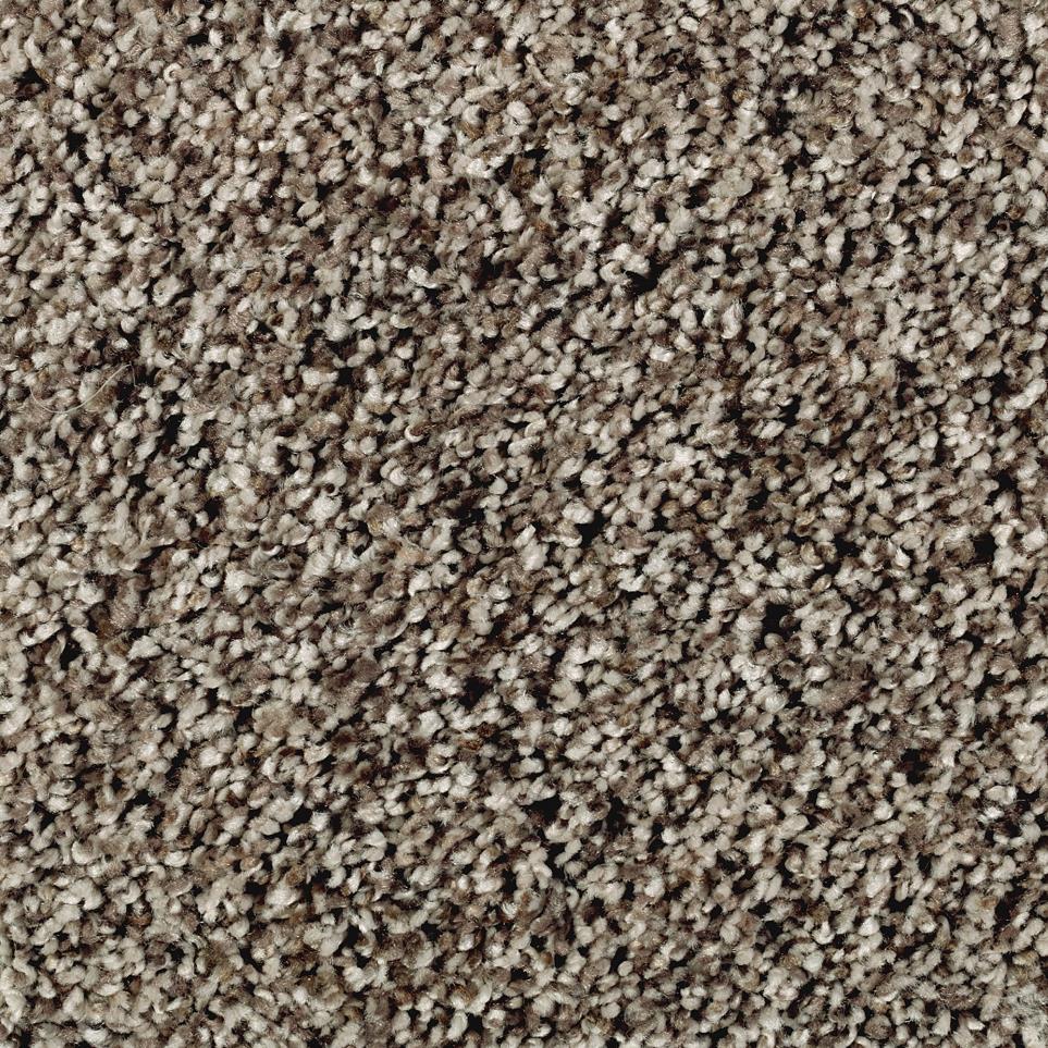 Texture Steeplechase Brown Carpet