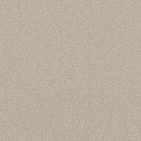 Textured Saxony Chevalier Beige/Tan Carpet